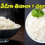 Warm Rice Vs Cold Rice: అన్నం వండిన వెంటనే తింటున్నారా? అయితే ఈ షాకింగ్ హెల్త్ ఫ్యాక్ట్స్ తెలుసుకోండి !