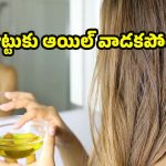 Oil For Hair: జుట్టు సంరక్షణలో నూనె ప్రాముఖ్యత, నిర్లక్ష్యం చేస్తే ఎదురయ్యే సవాళ్లు ఇవే !