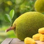 Jackfruit: వీళ్లు పనస పండ్లు పొరపాటున కూడా తినొద్దు తెలుసా ?
