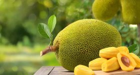 Jackfruit: వీళ్లు పనస పండ్లు పొరపాటున కూడా తినొద్దు తెలుసా ?