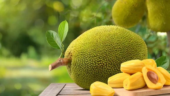 Jackfruit: వీళ్లు పనస పండ్లు పొరపాటున కూడా తినొద్దు తెలుసా ?