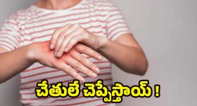 IDPL Land Dispute: IDPL భూముల వివాదంపై.. రంగంలోకి విజిలెన్స్ టీం