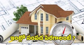 Vastu Tips: వాస్తు ప్రకారం.. ఇంట్లో సంపదను పెంచే అలవాట్లు ఇవే