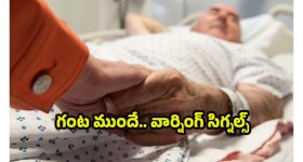 Highest Selling smartphone 2025: భారత్‌లో టాప్ సెల్లింగ్ స్మార్ట్‌ఫోన్‌గా iPhone 16.. పదకొండు నెలల్లో 6.5 కోట్ల యూనిట్ల విక్రయం!