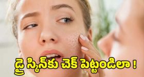 Dry Skin in Winter: చలికాలంలో డ్రై స్కిన్ సమస్యకు.. వీటితో చెక్ !