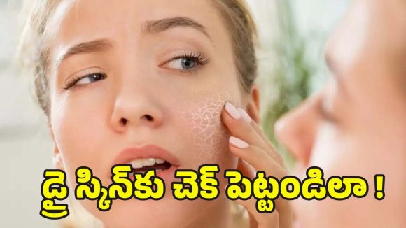 Dry Skin in Winter: చలికాలంలో డ్రై స్కిన్ సమస్యకు.. వీటితో చెక్ !