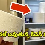 Toilet Paper: వినడానికి వింతగా ఉన్నా.. ఫ్రిజ్‌లో టాయిలెట్ పేపర్ పెడితే జరిగే మ్యాజిక్ ఇదే !