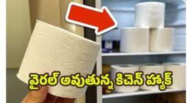 Toilet Paper: వినడానికి వింతగా ఉన్నా.. ఫ్రిజ్‌లో టాయిలెట్ పేపర్ పెడితే జరిగే మ్యాజిక్ ఇదే !