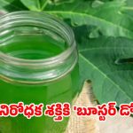 Papaya Leaf Water: వారానికి 3 సార్లు బొప్పాయి ఆకుల నీరు తాగితే.. మీ శరీరంలో జరిగే అద్భుతాలు ఇవే!