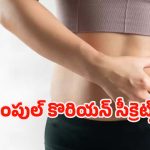 Korean Habits: కొరియన్ల లాగా స్లిమ్‌గా మారాలా ? బెల్లీ ఫ్యాట్ తగ్గించే 7 అద్భుతమైన మార్గాలు