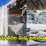 Waterfalls In Winter: వణికించే చలిలో.. వయ్యారంగా ప్రవహించే అద్భుత జలపాతాలు ఇవే !