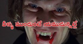 Air Plane Engine Off: ఆకాశంలో విమానం ఇంజిన్లు షట్ ఆఫ్.. మ్యాజిక్ పుట్టగొడుగుల ఎఫెక్ట్ తో పైలెట్ పిచ్చిపని