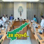 AP Districts: ఏపీలో మొత్తం జిల్లాలు 29 కాదు 28.. కొత్త జాబితా ఇదే