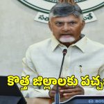 AP New Districts: ఏపీలో కొత్త జిల్లాల ఏర్పాటుకు కేబినెట్ గ్రీన్ సిగ్నల్