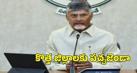 AP New Districts: ఏపీలో కొత్త జిల్లాల ఏర్పాటుకు కేబినెట్ గ్రీన్ సిగ్నల్