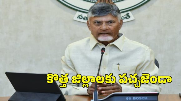 AP New Districts: ఏపీలో కొత్త జిల్లాల ఏర్పాటుకు కేబినెట్ గ్రీన్ సిగ్నల్
