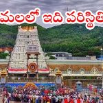 Tirumala: తిరుమలలో భక్తుల మహా సందోహం.. శ్రీవారి సర్వదర్శనానికి 30 గంటల సమయం!