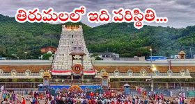 FSSAI On Herbal Infusions: ఇక వాటిని హెర్బల్ టీ అనొద్దు.. FSSAI కీలక ఆదేశాలు