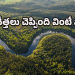 Amazon River: మీకు తెలుసా? అమెజాన్ నదిపై ఒక్క వంతెన కూడా నిర్మించలేదు.. ఎందుకంటే?