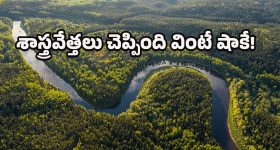 Amazon River: మీకు తెలుసా? అమెజాన్ నదిపై ఒక్క వంతెన కూడా నిర్మించలేదు.. ఎందుకంటే?