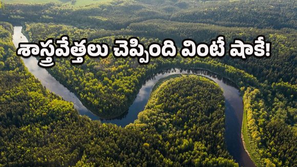 Amazon River: మీకు తెలుసా? అమెజాన్ నదిపై ఒక్క వంతెన కూడా నిర్మించలేదు.. ఎందుకంటే?
