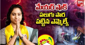 Andhra Pradesh News: మేయర్ షాక్.. పలుగు పార పట్టిన మేయర్