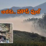 Araku: వరుస సెలవులతో అరకులో ఫుల్ రష్.. ఉడెన్ బ్రిడ్జి టైమ్సింగ్ మార్పు