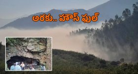 Araku: వరుస సెలవులతో అరకులో ఫుల్ రష్.. ఉడెన్ బ్రిడ్జి టైమ్సింగ్ మార్పు