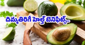 Avocado Benefits: అవకాడోలో దాగున్న పోషక రహస్యాలు.. గుండె, మెదడు, జీర్ణక్రియకు పూర్తి సంరక్షణ!