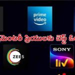 Best Documentary OTT Platforms : మీరు డాక్యుమెంటరీ సినిమా ప్రియులా ? ఈ 7 ఓటీటీ ప్లాట్‌ఫామ్‌లతో ఎంజాయ్ పండగో