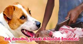 Best Selling Scooters Of 2025: అత్యధికంగా అమ్ముడైన టాప్ 5 స్కూటర్లు ఇవే, నెంబర్ వన్ ఏదంటే?
