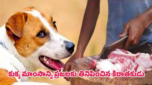 Bihar Crime: కుక్కను చంపి.. దాని మాంసాన్ని రూ.1000కి అమ్మేసిన మందుబాబు, ఎక్కడంటే?