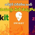 Gig Workers Strike: రేపు స్విగ్గీ, జొమాటో, బ్లింకిట్ బంద్.. డిసెంబర్ 31 వేడుకలపై తీవ్ర ప్రభావం