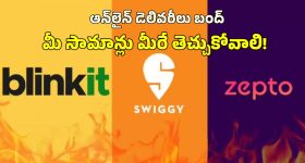 Gig Workers Strike: రేపు స్విగ్గీ, జొమాటో, బ్లింకిట్ బంద్.. డిసెంబర్ 31 వేడుకలపై తీవ్ర ప్రభావం