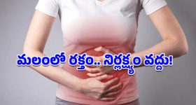 Blood Stool: మలం నుంచి రక్తం పడుతోందా? పైల్స్ కాదు.. ఈ భయానక వ్యాధి కూడా కావచ్చు, జాగ్రత్త