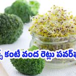 Broccoli Sprouts Benefits: శరీరాన్ని లోపల నుంచే శుద్ధి చేసే బ్రోకోలీ మొలకలు.. ప్రయోజనాలు తెలిస్తే తప్పకుండా తింటారు!