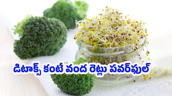 Broccoli Sprouts Benefits: శరీరాన్ని లోపల నుంచే శుద్ధి చేసే బ్రోకోలీ మొలకలు.. ప్రయోజనాలు తెలిస్తే తప్పకుండా తింటారు!