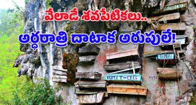 Elephant Attack: మన్యం జిల్లా రైతులను పరుగులు పెట్టించిన ఏనుగులు.. ఒక్కసారే పదుల సంఖ్యలో..