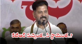 CM Revanth Reddy: బీఆర్ఎస్, కేసీఆర్ చరిత్ర ఇక ఖతమే.. కొడంగల్ సాక్షిగా ఇదే నా శపథం: సీఎం రేవంత్