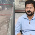 Hyderabad News: బాలుడిపై కుక్కలు దాడి ఘటన, సీఎం రేవంత్‌రెడ్డి ఆగ్రహం, అధికారులకు ఆదేశాలు