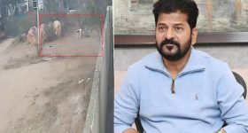 Rana Daggubati: నటన ఉద్యోగం కాదు.. సమయ పరిమితులు ఉండవు.. దీపికాకు రానా కౌంటర్!