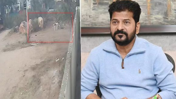 Hyderabad News: బాలుడిపై కుక్కలు దాడి ఘటన, సీఎం రేవంత్‌రెడ్డి ఆగ్రహం, అధికారులకు ఆదేశాలు