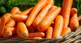 Carrot and Cancer: క్యారెట్ తింటే క్యాన్సర్ వచ్చే అవకాశం తగ్గుతుందా?