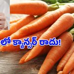 Carrot Health Benefits: కంటి చూపు నుంచి క్యాన్సర్ వరకూ.. వారానికి రెండుసార్లు క్యారెట్లు తింటే జరిగే హెల్త్ మ్యాజిక్ ఇదే!