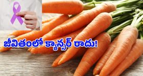 Carrot Health Benefits: కంటి చూపు నుంచి క్యాన్సర్ వరకూ.. వారానికి రెండుసార్లు క్యారెట్లు తింటే జరిగే హెల్త్ మ్యాజిక్ ఇదే!