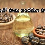 Castor Oil for Skin: శీతాకాలంలో డ్రై స్కిన్‌కు చెక్‌.. ఆముదంతో న్యాచురల్ గ్లో ఎలా తెచ్చుకోవాలంటే?