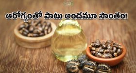 Castor Oil for Skin: శీతాకాలంలో డ్రై స్కిన్‌కు చెక్‌.. ఆముదంతో న్యాచురల్ గ్లో ఎలా తెచ్చుకోవాలంటే?