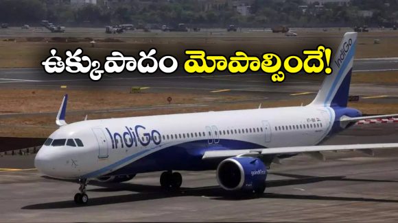 IndiGo flights: ఇండిగోపై యాక్షన్ షురూ, 5% విమానాలను తగ్గించాలని కేంద్రం ఆదేశం!