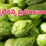 Chayote Health Benefits: సాధారణ కూరగాయే కానీ అసాధారణ లాభాలు.. డైట్‌లో చేర్చుకుంటే వందమంది బలం మీ సొంతం!