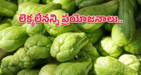 Chayote Health Benefits: సాధారణ కూరగాయే కానీ అసాధారణ లాభాలు.. డైట్‌లో చేర్చుకుంటే వందమంది బలం మీ సొంతం!
